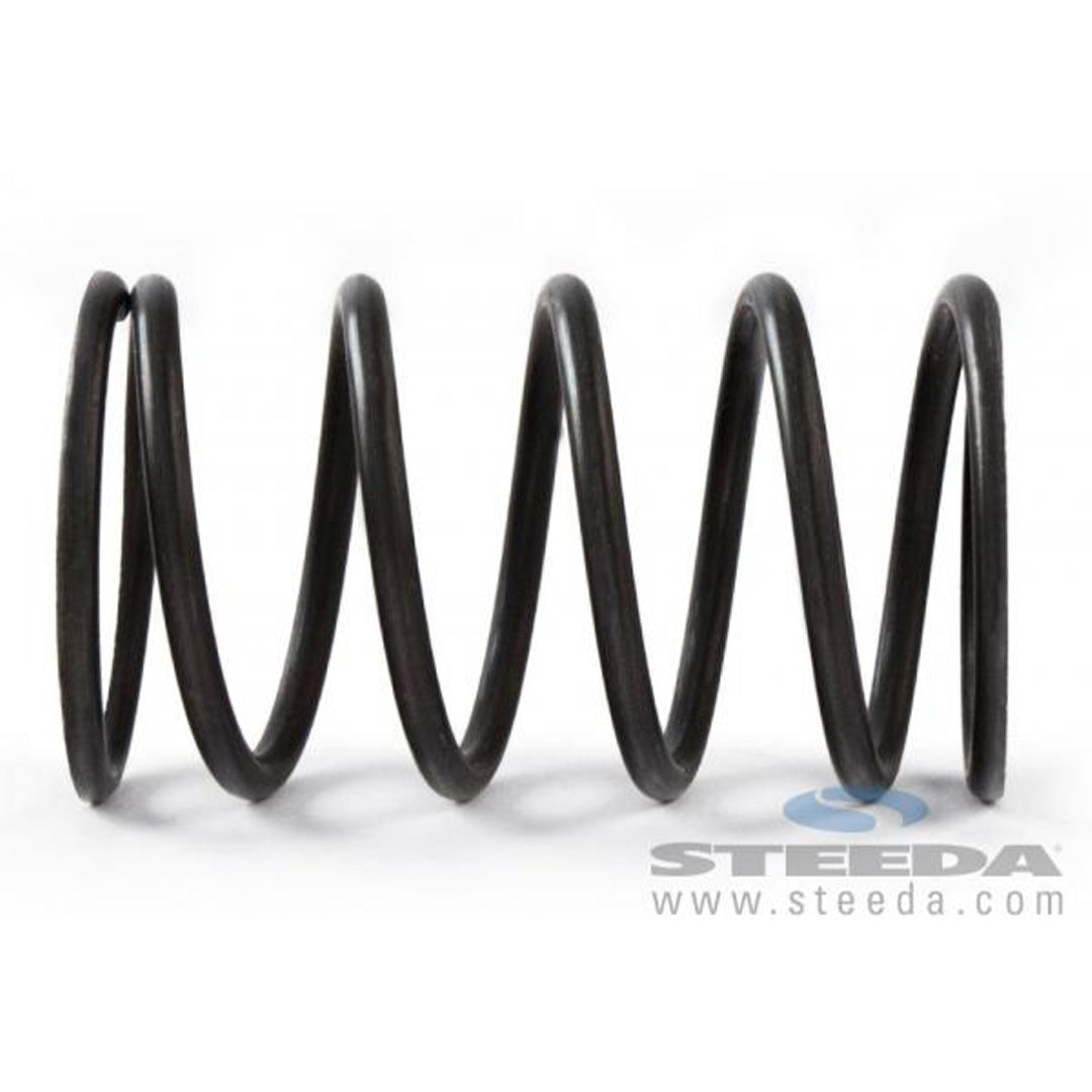 Kofferraumfedern Für Ford Mustang (1994-1998) - 2er Set Mit Gummipuffern